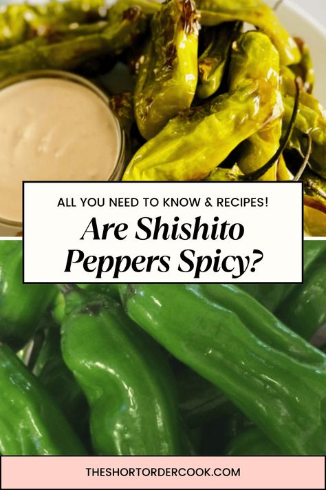 Are Shishito Peppers Spicy? - The Short Order Cook How To Preserve Shishito Peppers, Ahi Tuna Poke, Shishito Peppers, Stuffed Banana Peppers, White Sauce, Peppers Recipes, Sweet Potato Fries, Grow Your Own Food, Stuffed Jalapeno Peppers