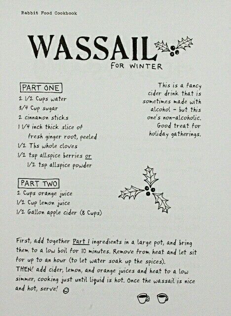 Wassail Recipe, Pagan Yule, Cider Drinks, Medieval Recipes, Medieval Party, House Smell, Drink Recipe, Kitchen Witch, Holiday Drinks