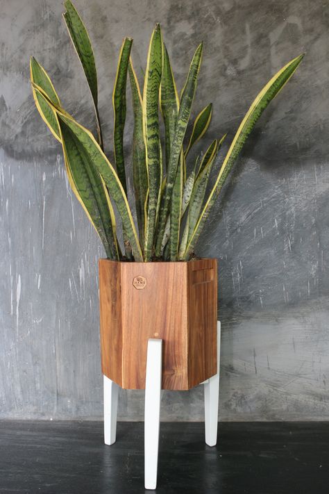 Wood Plant Wall, Indoor Planter Decor, Plant Shelves Indoor, Plant Stand Plans, Wooden Plant Holder, Wood Plant Holder, Wood Plant Stands, Plant Bench, Rustic Wood Bench