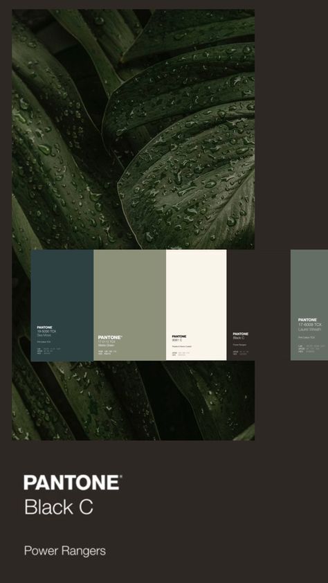 Black Green Colour Palette, Dark Green Black Aesthetic, Blue Gray Black Green Color Palette, Black White Green Palette, Green And Black Colour Palette, Black Green Color Palette, Black White Green Color Pallete, Dark Website Color Palette, Dark Green Brand Color Palette