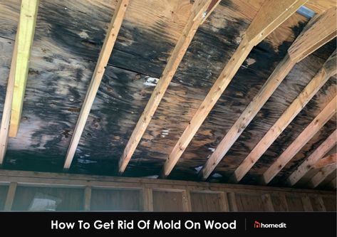 Mold Remover On Wood, Kill Black Mold, Clean Black Mold, Remove Black Mold, Remove Mold, Black Mold, Cleaning Mold, Mold Remediation, Duct Cleaning