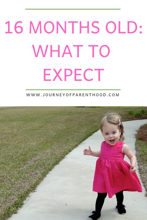 What to expect with a 16 month old toddler girl - milestones, development, and everything you may deal with at this age. #toddlermilestones #toddlerdevelopment 16 Month Milestones, 16 Month Old Development, Moms On Call, Chore Ideas, Sleep Regressions, Toddler Chores, Life With A Newborn, Toddler Milestones, Look At Her Now