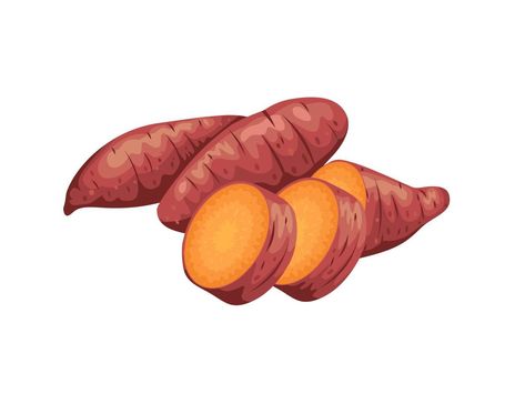 Sweet Potato Drawing, Sweet Potato Illustration, Potato Drawing, Red Sweet Potato, Japanese Packaging, Sweet Potato Chips, Nutritious Foods, Products Packaging, Drawings For Kids