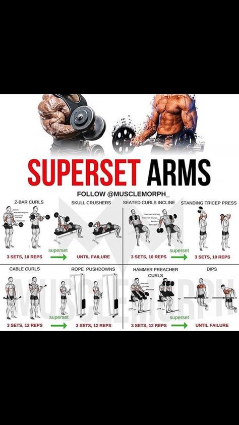 Big Biceps Workout, Bicep And Tricep Workout, Forearm Workout, Arms Workout, Gym Workouts For Men, Trening Fitness, Muscle Building Workouts, Weight Training Workouts, Workout Program