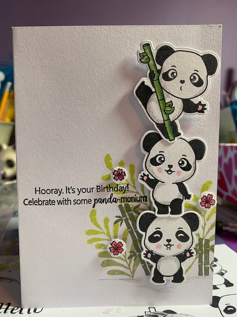 Panda Birthday Cards, Panda Card, Birthday Card Handmade, Panda Birthday, Funny And Cute, Card Handmade, It's Your Birthday, Animal Cards, Favor Bag