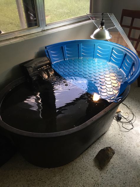 Indoor Turtle Pond, Aquatic Turtle Habitat, Aquatic Turtle Tank, Turtle Cage, Turtle Tank Ideas, Turtle Enclosure, Turtle Tanks, Turtle Terrarium, Indoor Pond