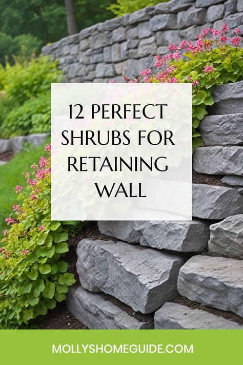 Discover the best shrubs for retaining walls that not only add beauty but also serve practical purposes. Whether you're looking for plants to control erosion, create privacy, or add a cascading effect to your landscape, we've got you covered. Explore a variety of flowering hedges, foundation shrubs, and screening options perfect for slopes or retaining walls. Enhance your outdoor space with these top recommendations for cascading plants that will thrive and provide visual interest in any garden Garden Retaining Wall Ideas Landscaping, Yard With Retaining Wall, Small Retaining Wall Ideas, Retaining Wall Plants, Curved Retaining Wall, Retaining Wall Landscaping, Foundation Shrubs, Retaining Wall Garden, Flowering Hedges