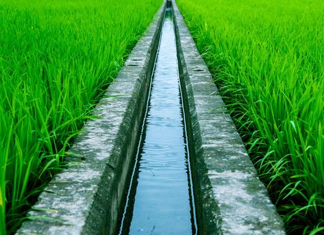 Irrigation Methods, Irrigation Systems, Drip System, Drip Irrigation System, Wind Generator, River Basin, Renewable Sources Of Energy, Rain Water Collection, Water Usage