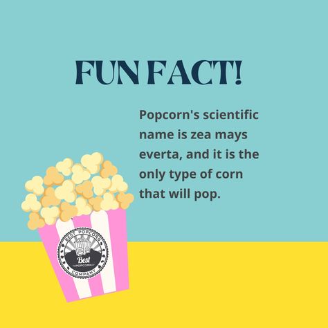 Fun Fact: popcorn's scientific name is zea mays everta, and it is the only type of corn that will pop. Also, the word "corn" in Old English meant "grain" or, more specifically, the most prominent grain grown in a region. Popcorn Sutton Quotes, Popcorn Facts, Legend Of The Five Kernels Of Corn, State Fair Corn On The Cob, Eating Popcorn Meme, Salt Water Taffy, Best Popcorn, Kettle Corn, Scientific Name