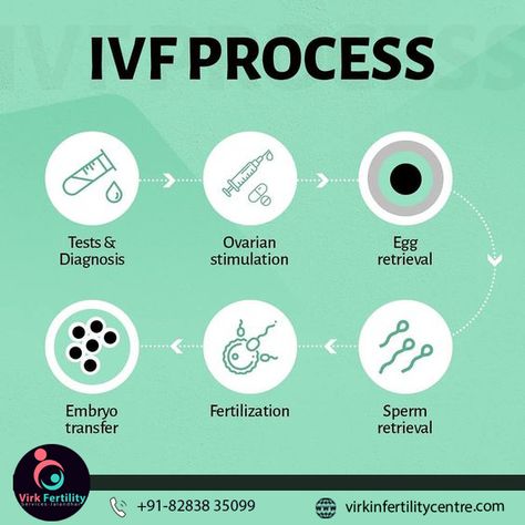 Ivf Quotes, Egg Retrieval, Ray Of Hope, Assisted Reproductive Technology, Motion Graphics Tutorial, Ivf Success, In Vitro Fertilization, Hopes And Dreams, Watch Videos