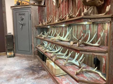 Shed Antler Display Ideas, Trophy Rooms Hunting, Man Cave Barn, Hunting Cabin Ideas, Hunting Room Decor, Deer Mount Decor, Antler Display, Deer Hunting Decor, Deer Head Decor