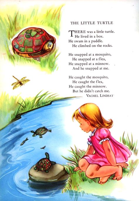 The Little Turtle Poem by Vachel Linsay Traditional Tune Illustrated by Priscilla Pointer From: Childcraft, Volume 1, Poems of Early Childhood, p. 96 - more info here - http://singbookswithemily.wordpress.com/2010/08/27/the-little-turtle-a-singable-illustrated-poem/ Preschool Poems, Nursery Rhymes Poems, Old Nursery Rhymes, English Poems, Toddler Montessori, Childrens Poems, English Stories For Kids, English Short Stories, Childrens Poetry