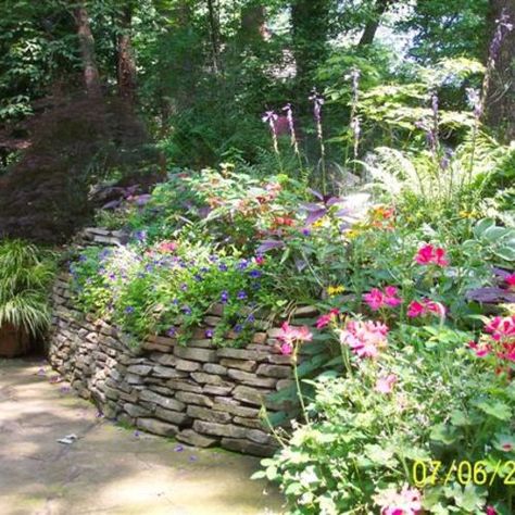 Eve's garden in Tennessee - Fine Gardening Planned Community, Fine Gardening, East Tennessee, Tennessee, Seeds, The First, Building, Plants