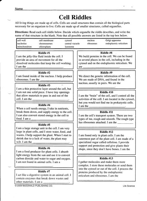 Riddles For High School Students, Prokaryotes Vs Eukaryotes, Prokaryotic And Eukaryotic Cells, Teaching Cells, Cell City, Cell Transport, Cell Theory, Science Cells, Cells Worksheet