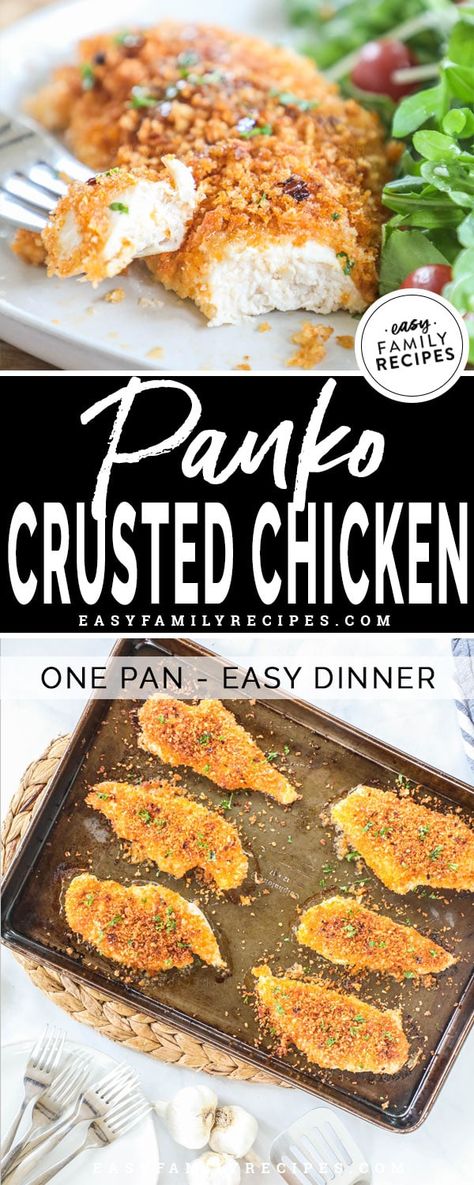 Baked Panko Chicken with Honey Drizzle · Easy Family Recipes Baked Chicken Recipes Panko, Breaded Chicken Recipes Panko, Healthy Family Meals Chicken, Easy Crusted Chicken, Best Chicken Breast Recipes For Dinner, Easy Baked Chicken Dinner Recipes, Best Panko Chicken, Honey Crusted Chicken, Baked Crusted Chicken Recipes