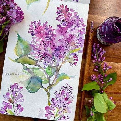 I found these lilacs down a very secluded path but I could smell them from quite a distance. They’re one of my favourites for Spring as… | Instagram Botanical Sketchbook, Moleskine Art, Watercolor Paintings For Beginners, Watercolor Sketchbook, Watercolour Inspiration, Watercolor Flower Art, Sumi E, Illustration Artists, Watercolor Inspiration