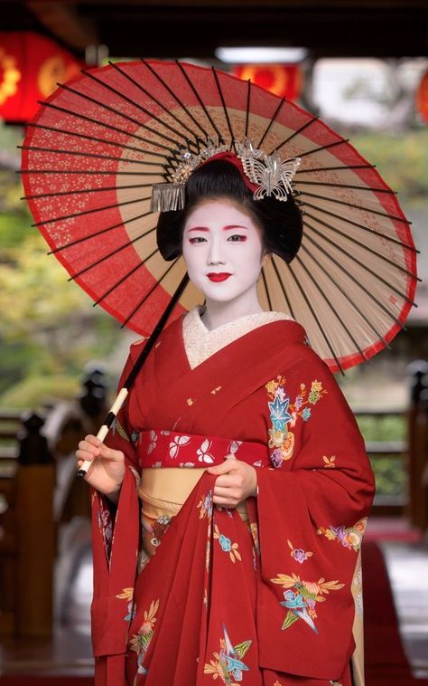 Geisha Photography, Geisha Kimono, Obi Kimono, Japanese Traditional Clothing, Japan Traditional, Kimono Japan, Traditional Japanese Kimono, Geisha Art, Estilo Real