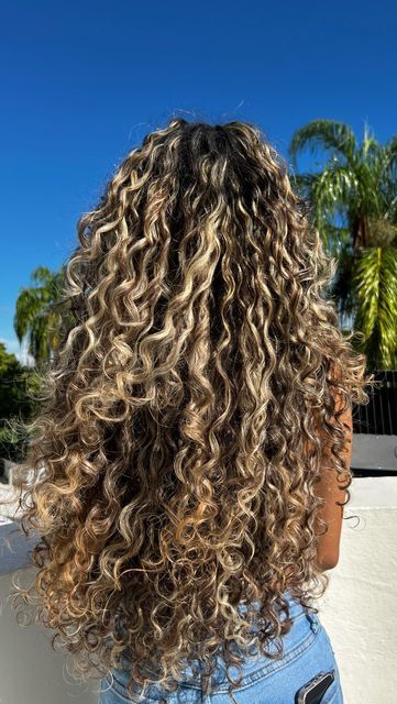 Partial Crown Highlights, Sandy Blonde Highlights Curly Hair, Latina Curly Hair Color Ideas, Brown Hair With Highlights On Curly Hair, Long Curly Hair With Blonde Highlights, Brown Curly Hair Boliage, Curly Dyed Hair Natural Curls Blonde, Blonde Tips Curly Hair, Hair Dye Ideas For Curly Hair Dark Brown