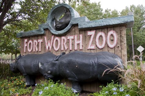 Visit one of our beautiful zoos. Fort Worth Zoo, Texas Places, Texas Travel, Fort Worth Texas, Dallas Fort Worth, The Zoo, Day Tours, Fort Worth, Tourist Attraction