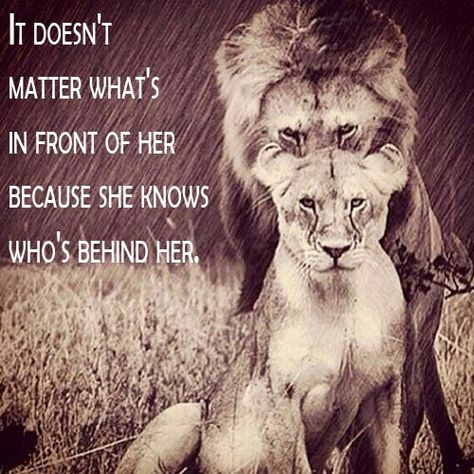 Who stands behind you? Lioness Quotes, Promise Quotes, Lion Couple, Lion Quotes, Lion And Lioness, Lion Love, King Quotes, Warrior Quotes, Lion Art