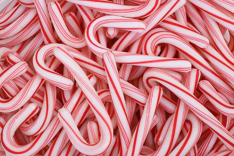 Candy canes! (by GJdisplay) Christmas Candy Homemade, Candy Images, Candy Board, Mini Candy Canes, Peppermint Sticks, Christmas Candy Recipes, Chocolate Leather, Holiday Scents, Christmas Candy Cane