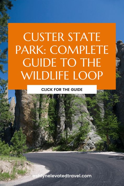 Plan your visit to the Wildlife Loop in Custer State Park South Dakota. See bison, elk, and more in the heart of the Black Hills South Dakota. A must-see for families looking to experience Custer State Park with kids. Add this us travel destination to your list when you travel with kids or travel with baby. Custer State Park South Dakota, Travel With Baby, Black Hills South Dakota, Custer State Park, Black Hills, Scenic Drive, Incredible Places, Yellowstone National Park, Travel Book