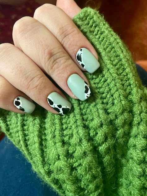 Sage Green Cow Print Nails, Mint Green Cow Print Nails, Green And Cow Print Nails, Farm Animal Nails Designs, Cow Print Toe Nails, Green Western Nails, Green Cow Print Nails, Highland Cow Nails, Cowgirl Nail Ideas