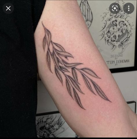 Tree Leaf Tattoo, Willow Leaf Tattoo, Willow Tree Leaf, Geometric Tattoo Tree, Willow Tattoo, Willow Tree Tattoo, Tree Tattoo Meaning, Tree Tattoo Ideas, Tattoo Meaningful