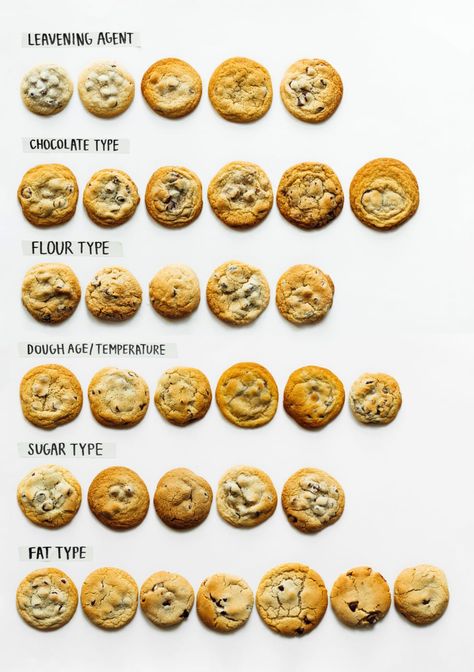 BuzzFeed's Guide To Making The Ultimate Chocolate Chip Cookies Different Types Of Cookies, Secret Touch, Ultimate Chocolate Chip Cookies, Types Of Cookies, Ultimate Chocolate Chip Cookie, Best Chocolate Chip Cookies Recipe, Baking Homemade, Soft Chocolate Chip Cookies, Perfect Chocolate Chip Cookies