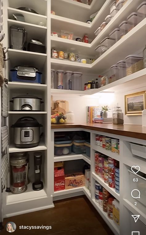 Pantry With A Window Ideas, Walk In Pantry Next To Refrigerator, Pantry With Stand Up Freezer, Hallway Turned Into Pantry, Mini Butlers Pantry Ideas, Open Pantry Design Ideas, Large Walk In Pantry Ideas Layout, Pantry With Laundry, Pantry Wall Shelving Ideas