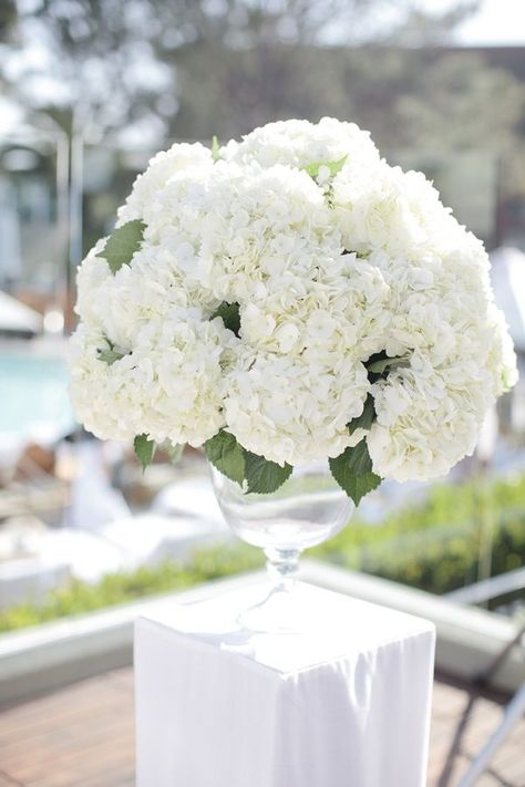 20 Pure White Wedding Decor Ideas for Romantic Wedding - Style Motivation White Wedding Flowers Centerpieces, White Hydrangea Centerpieces, White Hydrangea Wedding, Romantic Wedding Style, Wedding Flowers Hydrangea, White Wedding Decorations, Rustic Wedding Decorations, Hydrangea Centerpiece, Hydrangeas Wedding