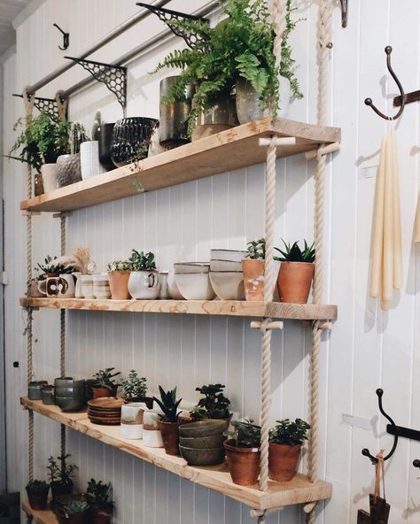 Floating Shelves With Rope, Diy Suspended Shelves, Suspended Shelves, Window Plant Shelf, Hanging Rope Shelves, Herb Garden In Kitchen, Floating Shelves Kitchen, Shelves Kitchen, Inside Decor