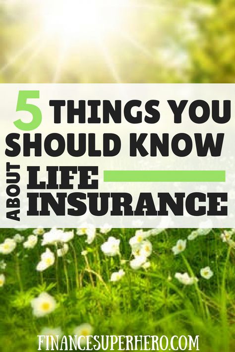 life insurance | term life insurance | whole life insurance | estate planning | retirement planning | protect your family | estate tax #termlife Planning Retirement, Life Insurance Facts, Whole Life Insurance, Insurance Marketing, Term Insurance, Life Insurance Quotes, Term Life Insurance, Life Insurance Companies, Family Estate