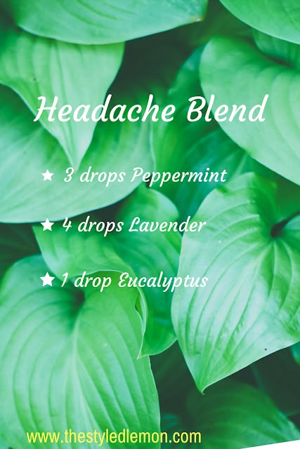 Respiratory Essential Oil Diffuser Blend, Diffuser Blend For Migraine, Headache Roller Blend, Headache Essential Oil Blend, Diffuser Oils, Essential Oil Combinations, Eucalyptus Lavender, Doterra Essential Oils Recipes, Essential Oils For Headaches