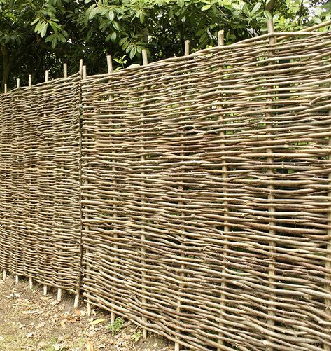 Papillon Premium Hazel Hurdle Woven Wattle Garden Fence Panel 1.8m x 1.2m (6ft x 4ft) Next Working Day Delivery With 2 Year Warranty: Amazon.co.uk: Garden & Outdoors Farm Fences, Plastic Garden Fencing, Garden Fence Panels, Cheap Fence, Garden Privacy, Fence Screening, Garden Vines, Garden Screening, Front Yard Fence