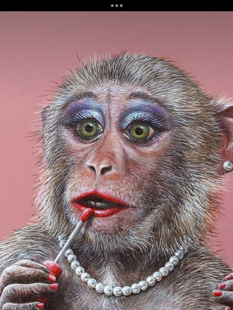 Cute Monkey Wallpaper, Monkey Painting, Monkey Funny, Monkey Wallpaper, Funny Monkey, Monkey Pictures, Animal Portraits Art, Monkey Art, Monkeys Funny