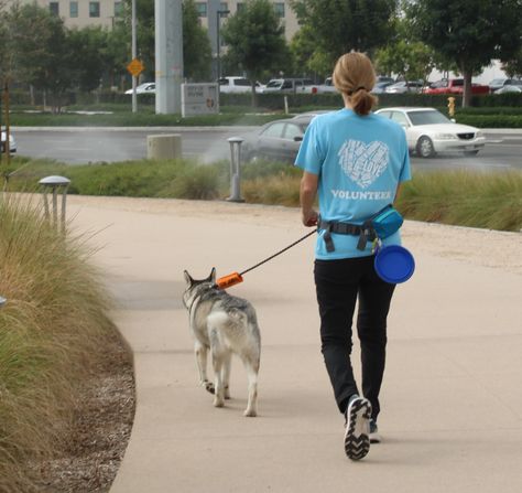 Volunteer With Animals, Volunteering Animal Shelter, Shelter Volunteer Aesthetic, Animal Shelter Volunteer Aesthetic, Animal Volunteering, Animal Shelter Aesthetic, Unicef Volunteer, Animal Shelter Worker, Jobs With Animals