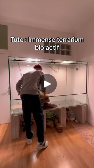 Vivarium Diy, Crystal Terrarium Diy, Terrarium Animals, Dart Frog Terrarium, Terrarium Design, Terrarium Ideas, Terrarium Diy, 10k Views, Vivarium