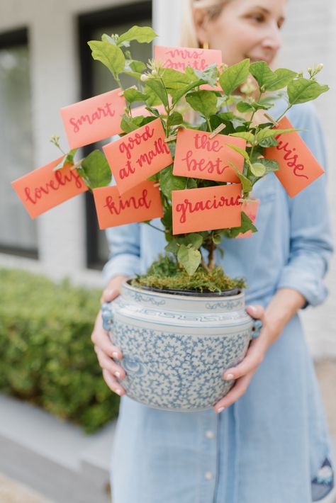 Gift Card Tree for Teachers! https://dosaygive.com/non-cheesy-gift-card-tree-for-teachers/ Jar Magic, Gift Card Tree, Cheesy Gifts, Teacher Birthday Gifts, Teacher Birthday, Best Gift Cards, Teachers Diy, Best Teacher Gifts, Teacher Cards