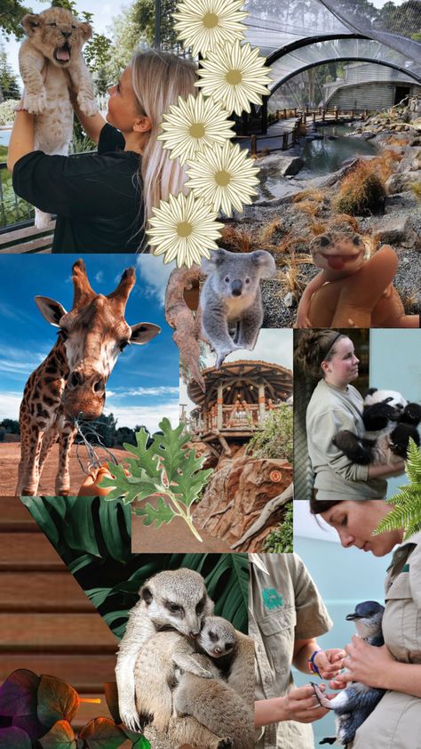 Zoo Keeper Job Aesthetic, Zoology Aesthetic Wallpaper, Zoology Wallpaper, Zookeeper Aesthetic, Zoology Aesthetic Notes, Wildlife Biologist Aesthetic, Zoologist Aesthetic, Zoology Aesthetic, Zoology Career