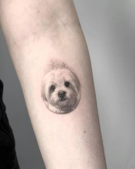 Maltipoo Tattoo, Rocky Tattoo, Pet Memorial Tattoo, Dog Portrait Tattoo, Mama Tattoo, Small Tattoo Placement, Dog Memorial Tattoos, Circle Tattoos, Small Tattoos With Meaning