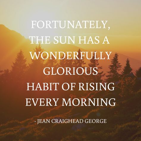 Fortunately, the sun has a wonderfully glorious habit of rising every morning - Jean Craighead George. It's a fresh start.  A new beginning.  Another chance.  Every Day You Are New.  New thoughts.  New Intentions.  New Awareness.  New Perception.  You can Heal.  Healing Quote.  Mindset Quote. A New Beginning Quotes, New Day Quotes, Sun Quotes, Quotes Arabic, Board Quotes, New Beginning Quotes, A New Beginning, Coach Me, New Thought