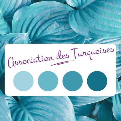 Association des couleurs de papier Turquoise Bleu Turquoise, Projects To Try, Mint, Turquoise