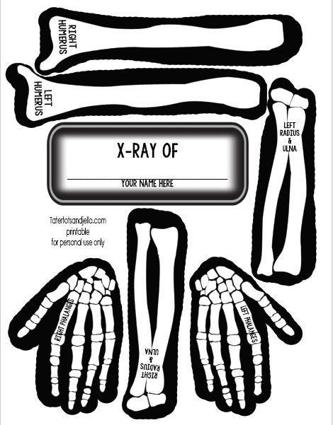 Halloween Kids Skeleton Party Game. Kids make life-sized skeletons of themselves. Free skeleton printables make it easy! Vampire Birthday Party, Skeleton For Kids, Human Body For Kids, Homeschool Halloween, Skeleton Printable, Vampire Birthday, Party Games Halloween, Life Size Skeleton, Skeleton Craft