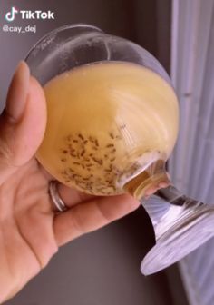 How To Attract And Kill Nats, Home Remedy To Get Rid Of Nats, Keep Gnats Out Of House, How To Get Ride Of Nats In The House, Home Remedy To Get Rid Of Gnats, How To Get Rid Of Nats In The Kitchen, Nat Traps Diy, Diy Get Rid Of Gnats, Recipe To Get Rid Of Gnats