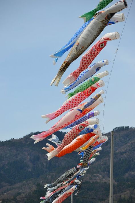 fish banner , flower festival Japanese Fish Lantern, Fish Garland, Fish Banner, Banner Flower, Fish Lanterns, Wind Art, Japanese Festival, Japanese Fish, Beach Festival