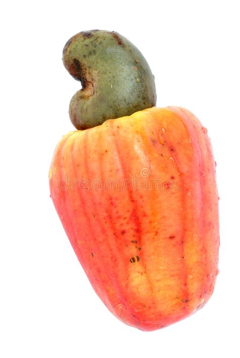 Cashew. Tropical Cashew fruits on white background , #affiliate, #Tropical, #Cashew, #fruits, #background, #white #ad Cashew Fruit, Fruits Background, Cashew Tree, 3d Sculpture, Background White, Recipe Images, Abstract 3d, Cashew, Gourds