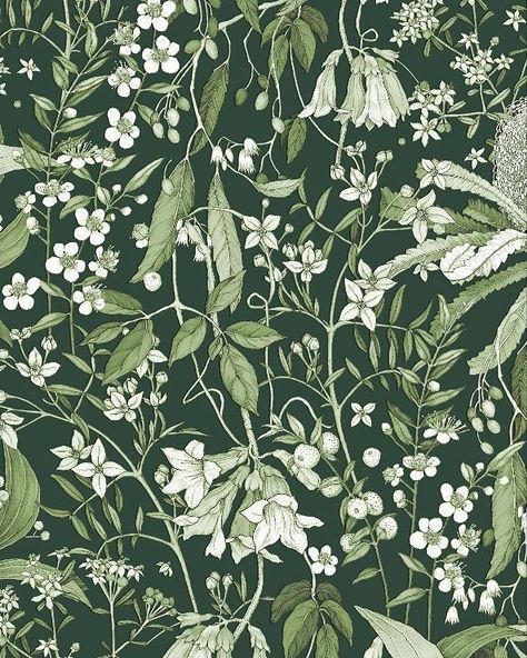 Edith Rewa Barrett | Snippet of illustrated wrapping paper design for Hervey Bay Regional Gallery. Commissioned to celebrate some local plants of the Fraser… | Instagram Wrapping Paper Design Pattern, Edith Rewa, Hervey Bay, Wrapping Paper Design, Botanical Pattern, Graphic Patterns, Paper Design, Wrapping Paper, To Draw