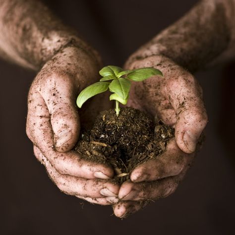 Neville Longbottom Aesthetic, Agriculture Photography, Samwise Gamgee, Neville Longbottom, Garden Services, Hands Holding, The Martian, The Hobbit, The Middle