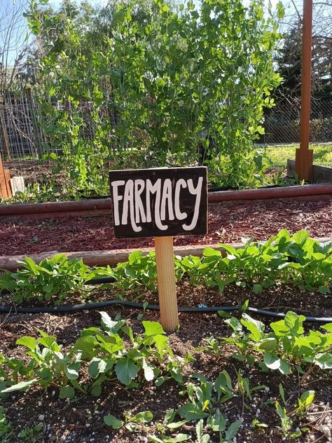 Farmacy Sign, Plant Signs Diy, Farmacy Sign Garden, Produce Signs Farm Stand, Vegetable Garden Signs, Allotment Signs Diy, Garden Plant Signs, Vege Garden Ideas, Homestead Gardens